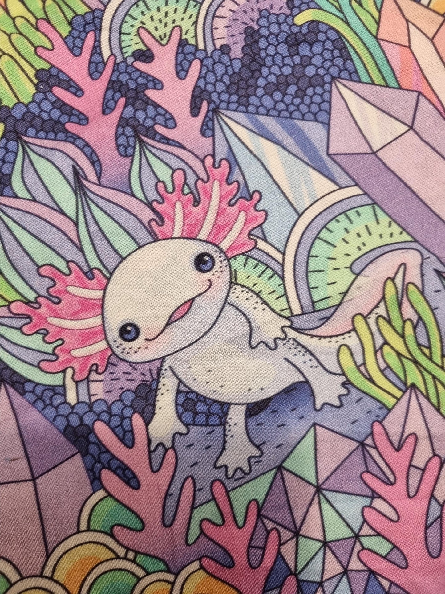 Fantasy Axelotl Print project Bag for knitting or crochet perfect gift for any crafter knitter crocheter cross stitch handmade